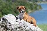STAFFIE 092